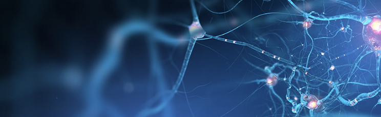 Brain Research